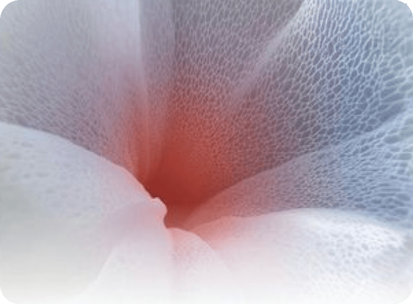 Geo-Social Platform for Drivers Everywhere